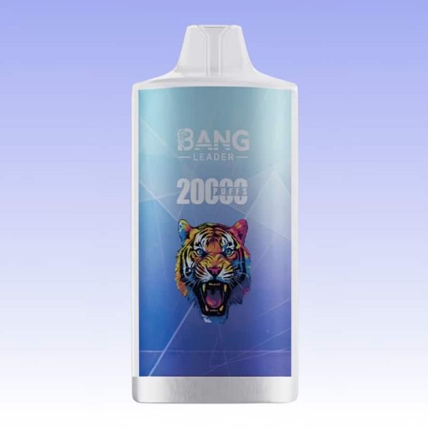 Bang Leader 20000 Puffs | Puff Cigarette Store