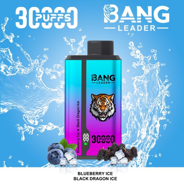 Bang Leader 30000 Puffs | Puff Cigarette Store Bang Leader 30000 Puffs | Puff Cigarette Store