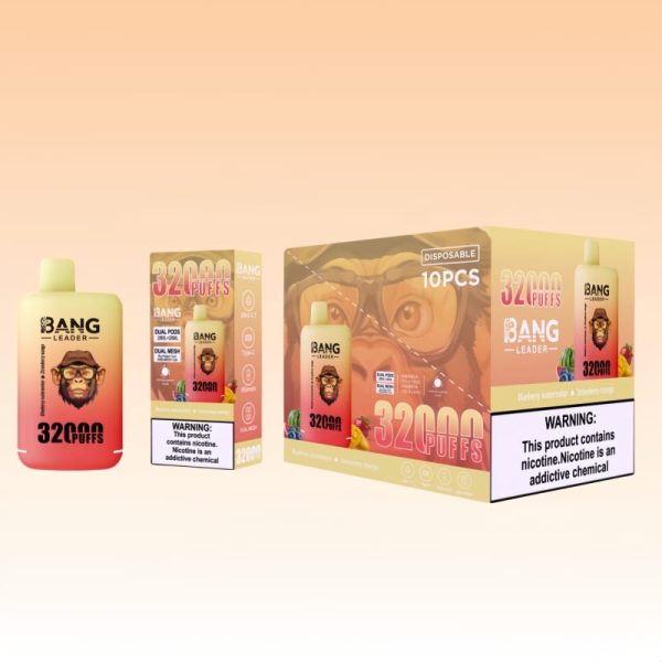 Bang Leader 32000 Puffs | Puff Cigarette Store Bang Leader 32000 Puffs | Puff Cigarette Store