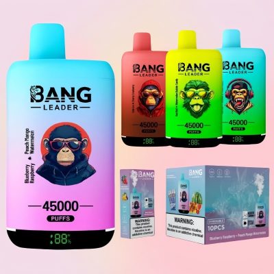 Bang Leader 45000 Puffs | Puff Cigarette Store