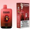Bang Leader 45000 Puffs | Puff Cigarette Store Bang Leader 45000 Puffs | Puff Cigarette Store