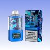 Waspe Box 20000 Puffs | Puff Cigarette Store Waspe Box 20000 Puffs | Puff Cigarette Store