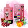 Bang Leader 300k Puffs | Puff Cigarette Store